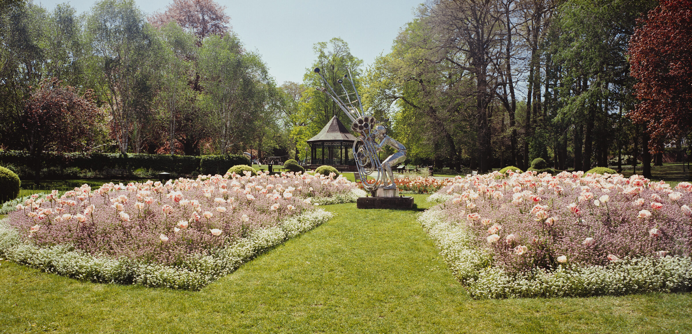 Beds of pink tulips edged with white flowers either side of a grass path in Caldecott Park, leading to a silver sculpture of a figure with a tuba and a bandstand among tall trees.