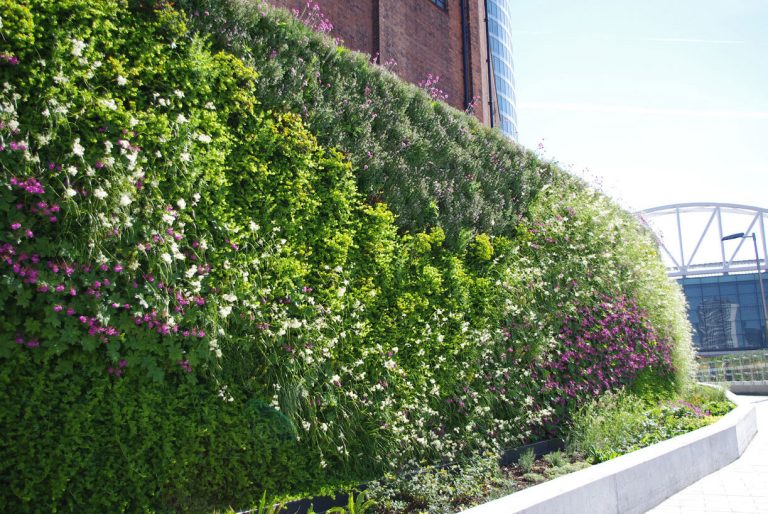 A large green living wall on the side of a building.