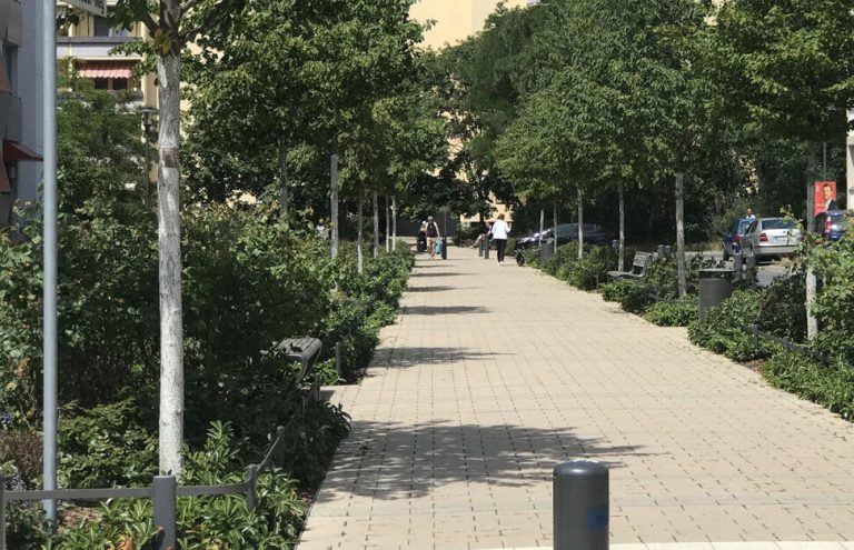 A wide paved walkway lined with young trees and planting.