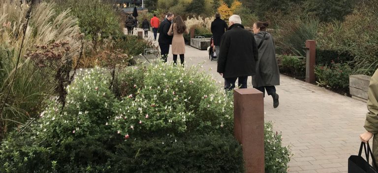 People walking along a path through planted beds of shrubs and grasses.