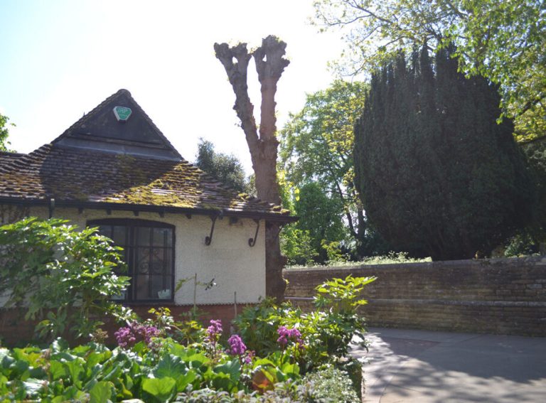 A redundant single-storey building with a steep tiled roof, among shrubs and flowers.