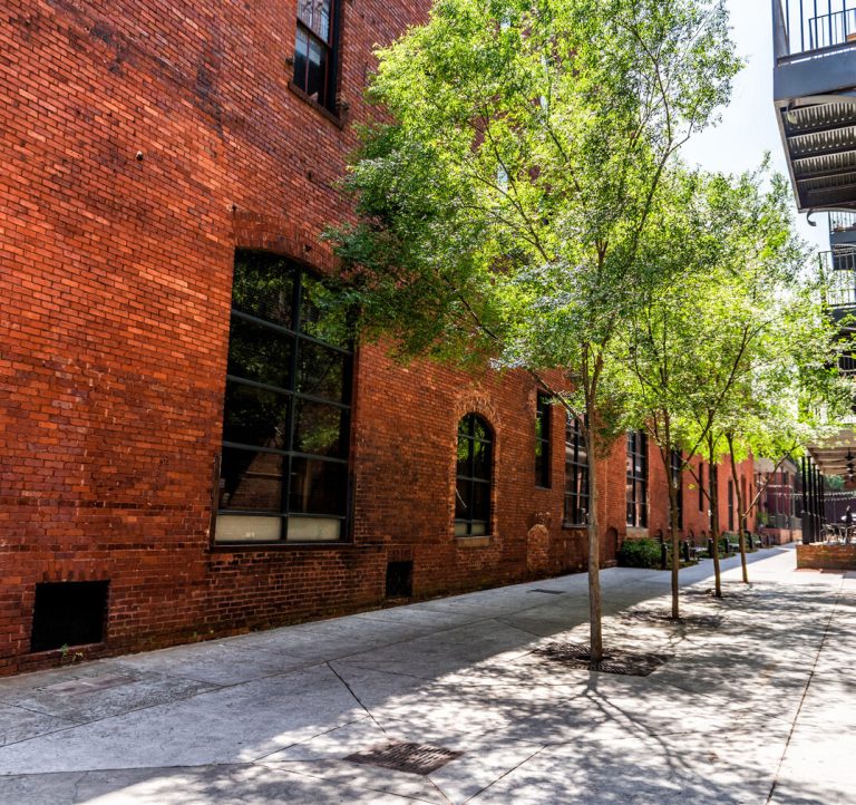 A paved street with young trees alongside a converted brick warehouse.