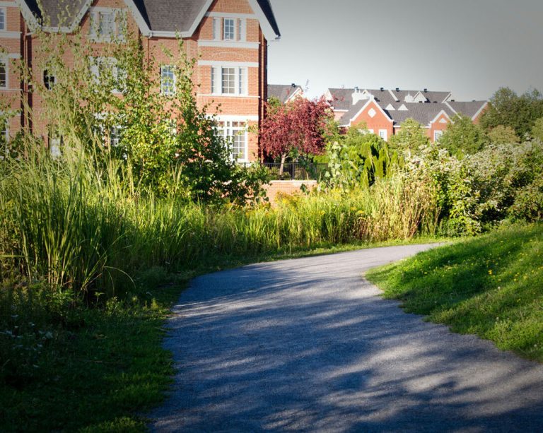 A curving path through tall grasses towards new townhouses.